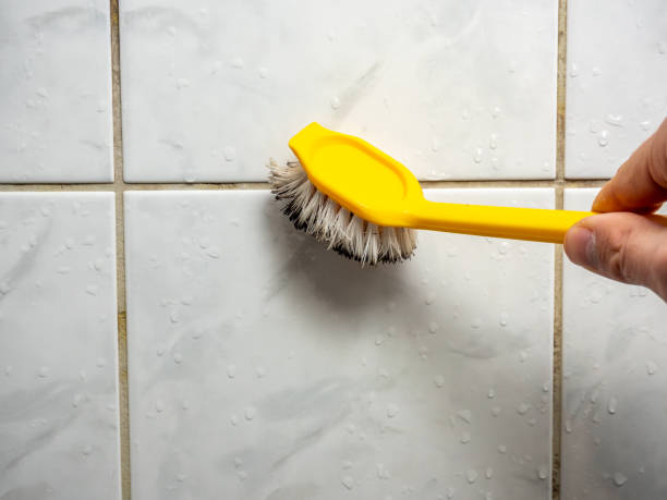 Professional Mold Remediation in Lincroft, NJ