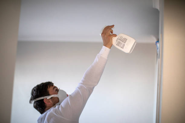 Best Residential Mold Remediation in Lincroft, NJ