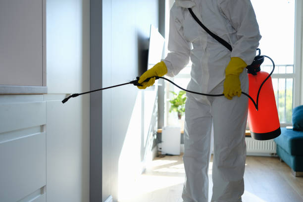 Best Insurance-Related Mold Remediation in Lincroft, NJ