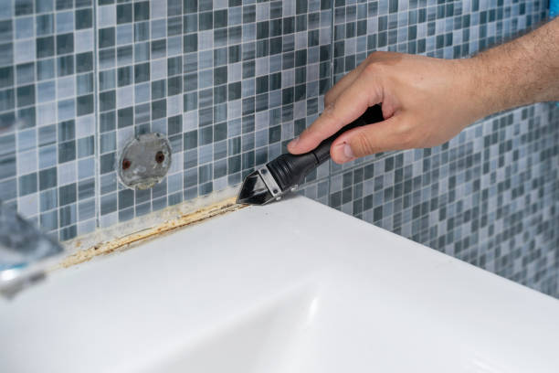 Best Black Mold Remediation in Lincroft, NJ
